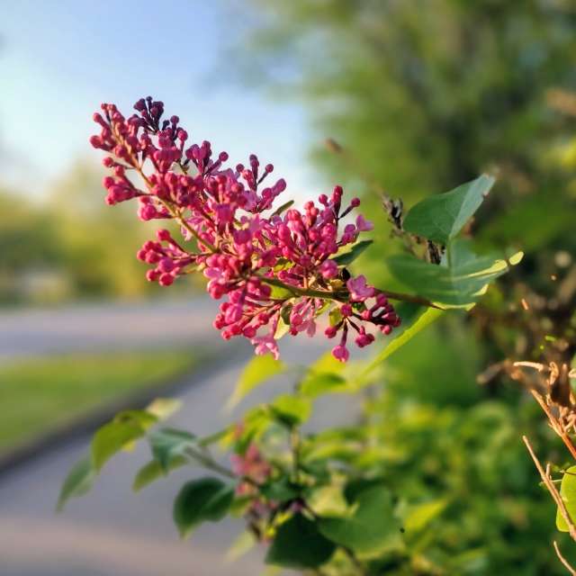 Previsões do tempo com lindas fotos de msolita88
