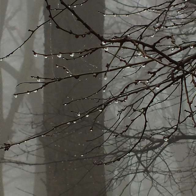 Photos Pluie. Prévisions météo avec de superbes photos de Miloš_SK de Sereď