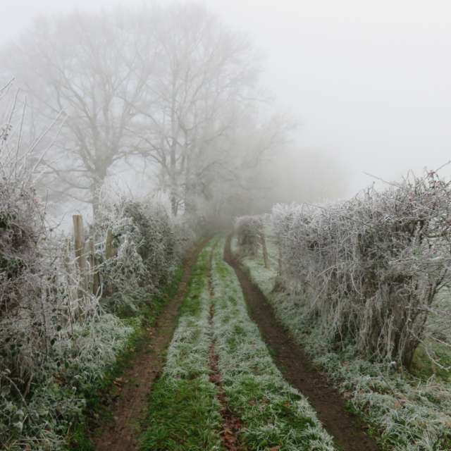 Weather forecasts with beautiful photos by MariePhotos