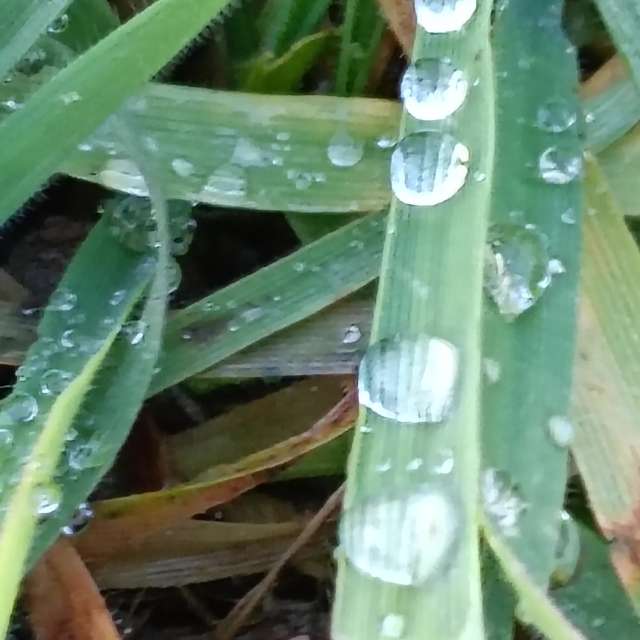 Prévisions météo avec de superbes photos de Am-b