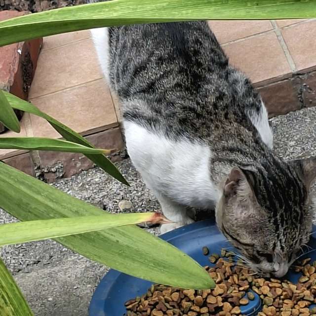 Bowl. Weather forecasts with beautiful photos by Wen-ya Huang Photos in Kaohsiung City