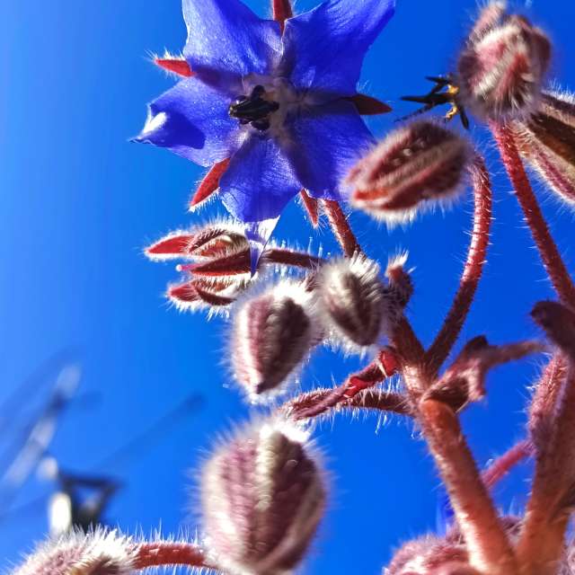 Прогнозы погоды с чудесными фотографиями, сделанными RUMBASTER