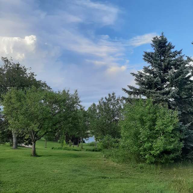 Прогнозы погоды с чудесными фотографиями, сделанными Favefamdamily