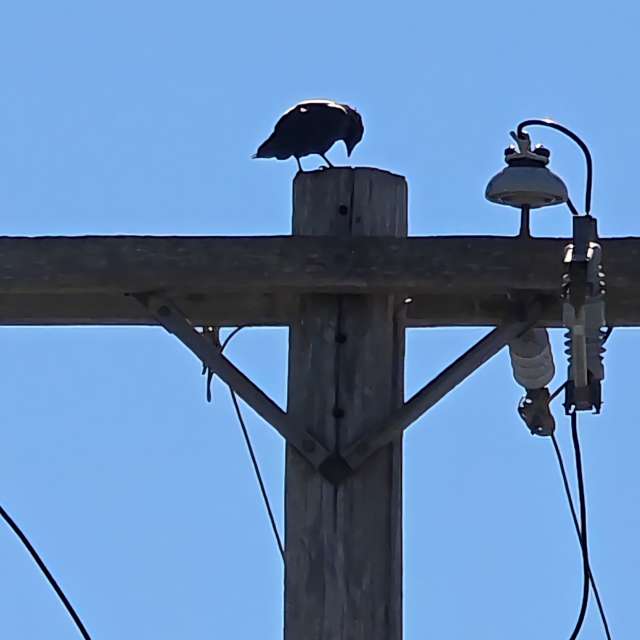 Previsões do tempo com lindas fotos de jJaycox