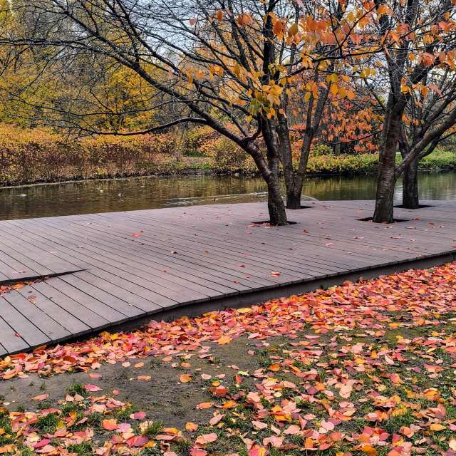 Jeaの美しい写真による天気予報