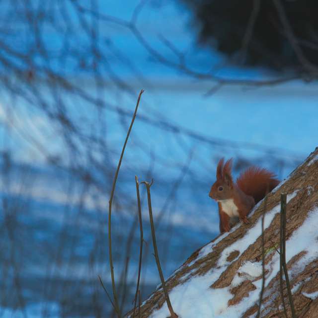 Прогнозы погоды с чудесными фотографиями, сделанными martinm611