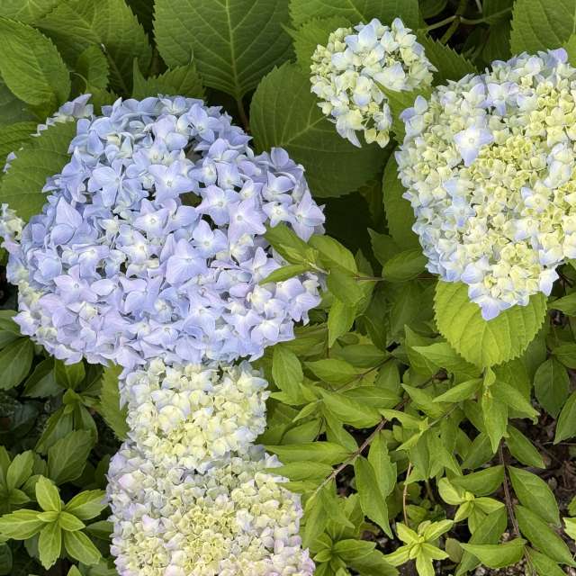 Fotos Contador. Previsões do tempo com lindas fotos de あさのジジ em Okayama