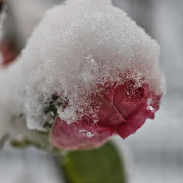 Pronósticos del tiempo con hermosas fotos de Fabri