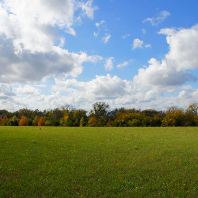 天气预报，带AgentTomcat精美的照片