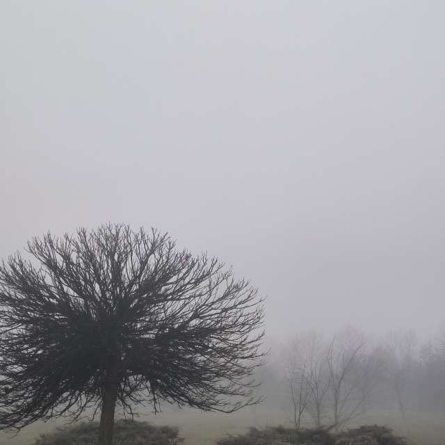 Previsões do tempo com lindas fotos de YanBog