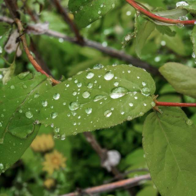 Weather forecasts with beautiful photos by G_3233