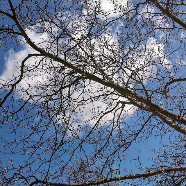 Stop. Weather forecasts with beautiful photos by MardPC Photos in Madrid