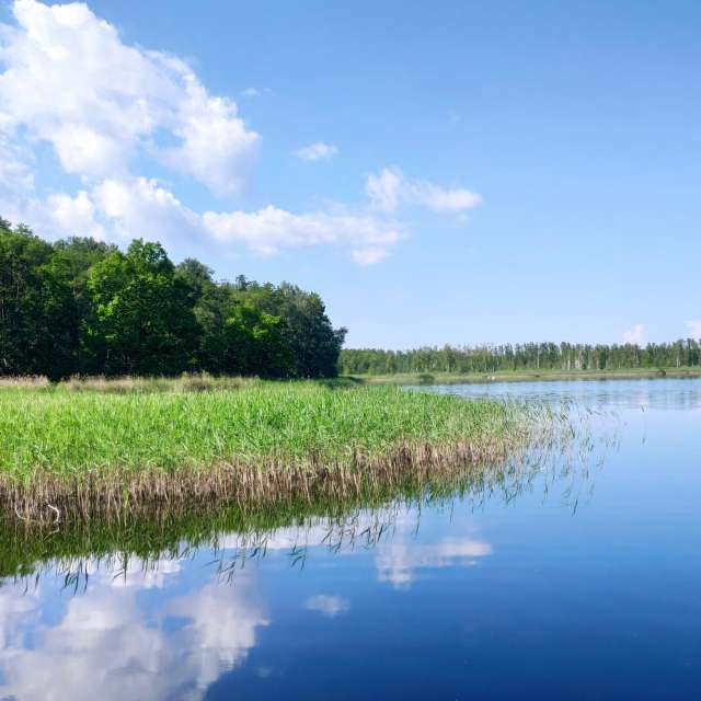 天气预报，带newgen精美的照片