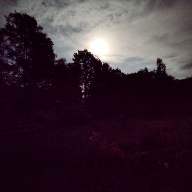 Bielawa Poland, 14 days Weather forecast, Radar & Photos Weawow