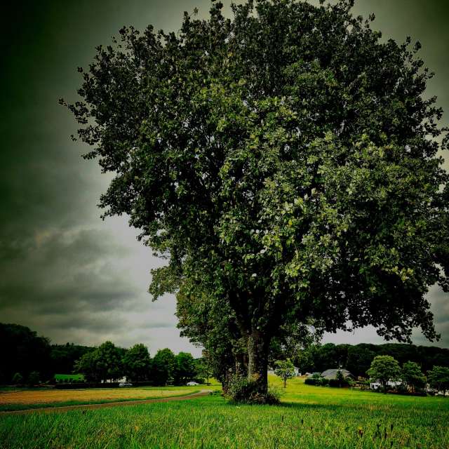 Dự báo thời tiết với những bức ảnh đẹp của Meli_85