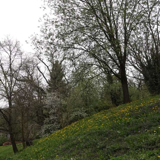 Fotos Plantar. Previsões do tempo com lindas fotos de Vasek325 em Praha 12
