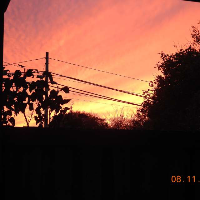 天气预报，带hankcooper精美的照片