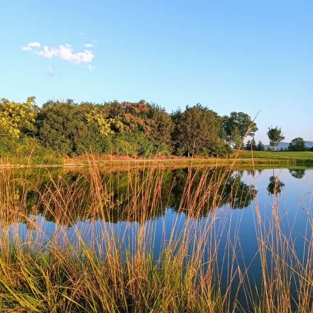 Hoch. Wettervorhersagen mit schönen Fotos von Kripo Fotos Niederösterreich