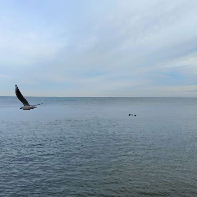 天气预报，带Михаил Бондаренко精美的照片