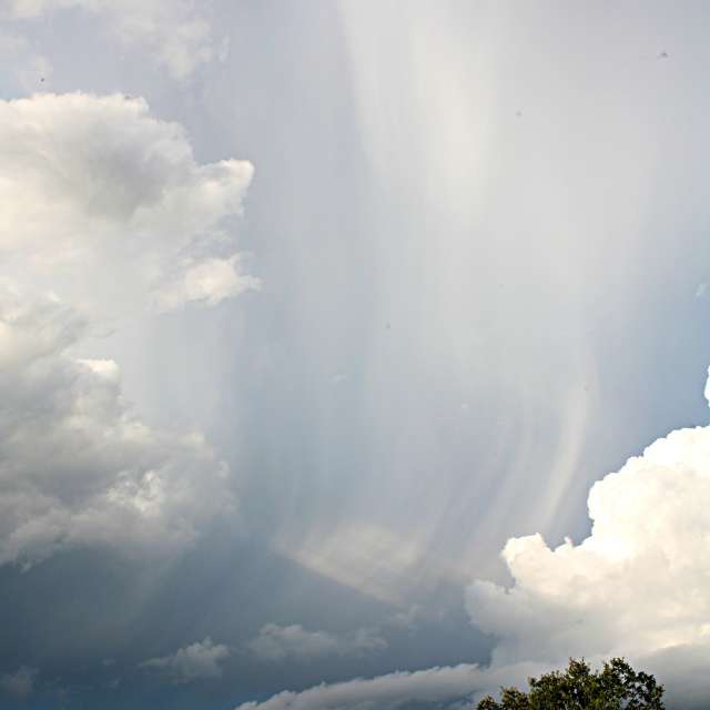 Grass. Weather forecasts with beautiful photos by tony5636 Photos in Calvisson