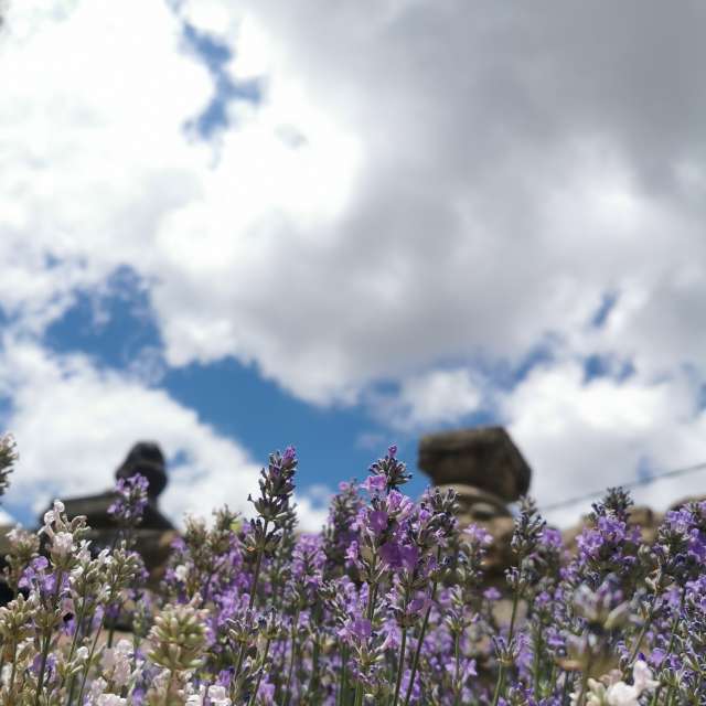 Weather forecasts with beautiful photos by CalligraphyELA