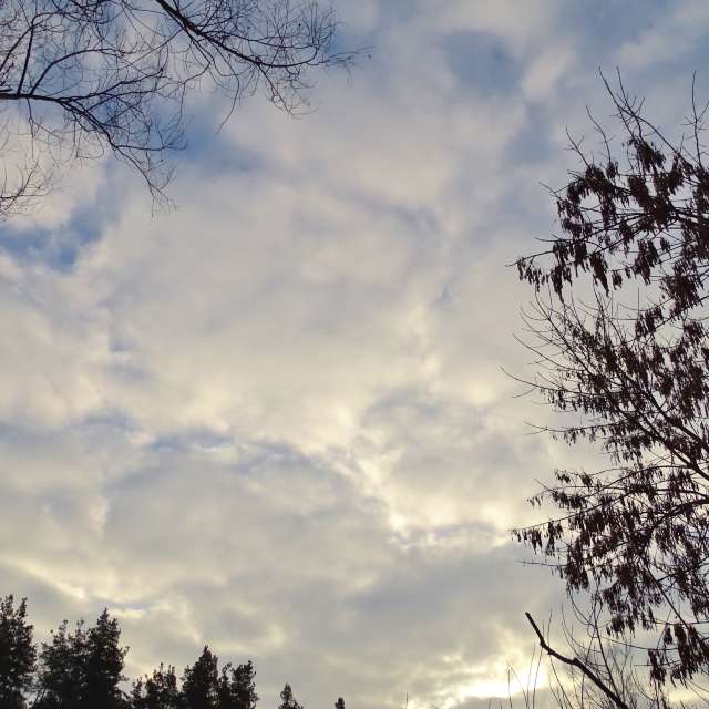 Country. Weather forecasts with beautiful photos by Михаил Гавриков Photos in Kharkiv