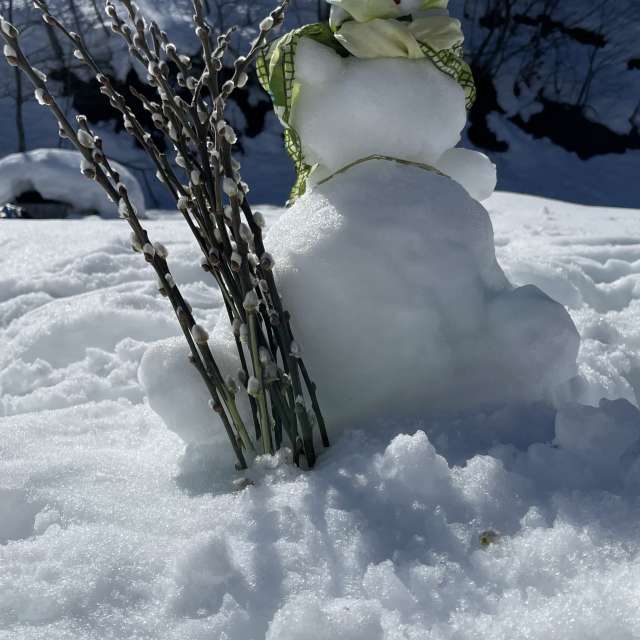 Photos Colline. Prévisions météo avec de superbes photos de elena_dagomys de Roza Khutor