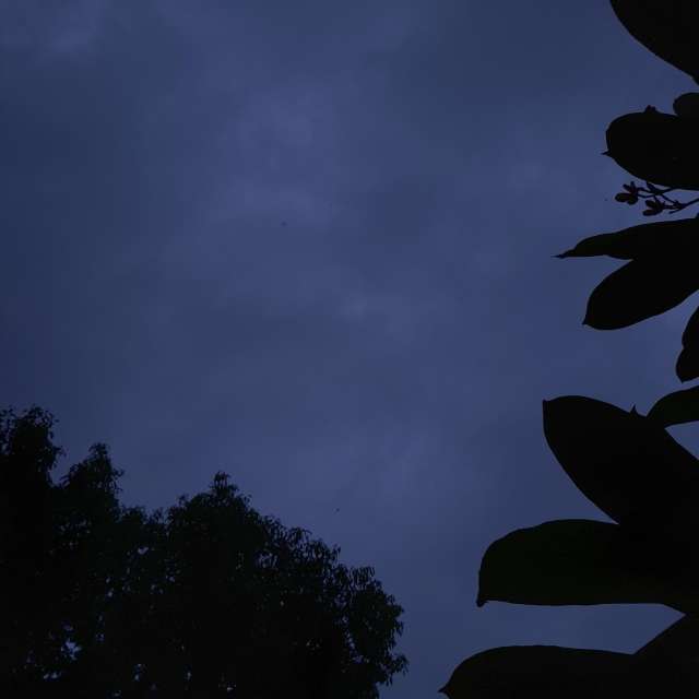 Pole. Weather forecasts with beautiful photos by Wen-ya Huang Photos in Kaohsiung City