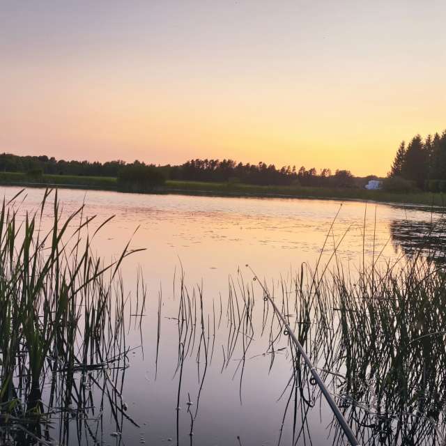 Surrounded. Weather forecasts with beautiful photos by Valiukas Photos in Lithuania