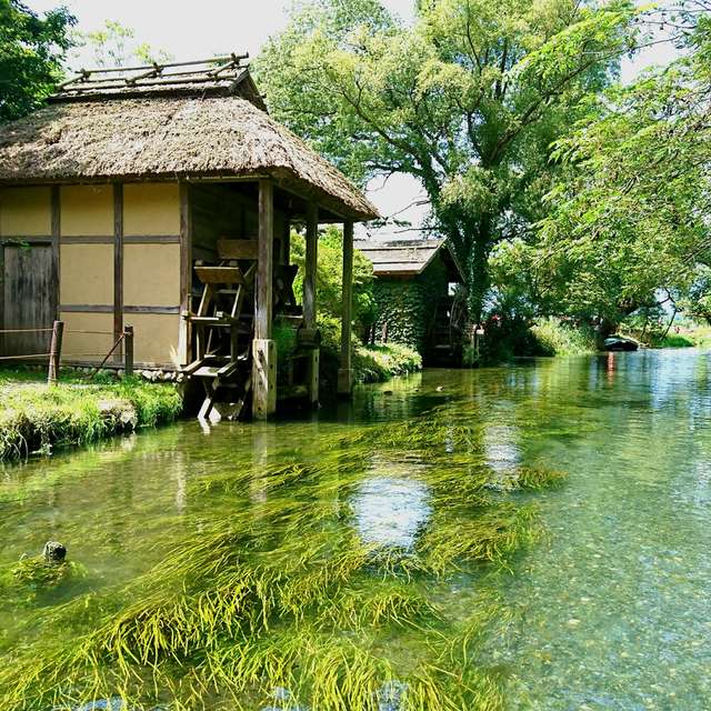 Weather forecasts with beautiful photos by F-TATSUYA