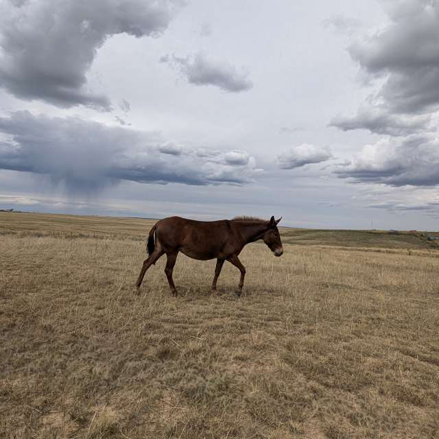Fotos del Nubes. Pronósticos del tiempo con hermosas fotos de BonnieC85 en Elbert