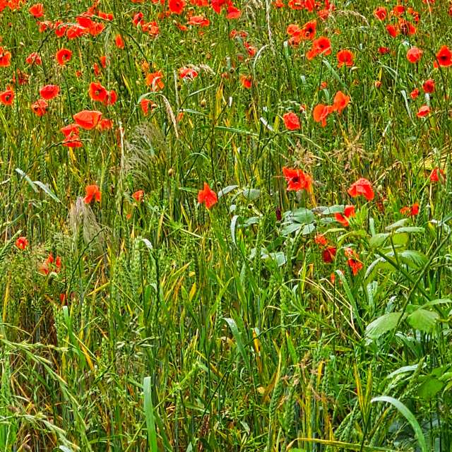 Tower. Weather forecasts with beautiful photos by Seni Photos in Velbert