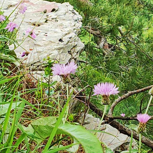 Wettervorhersagen mit schönen Fotos von Belkka303