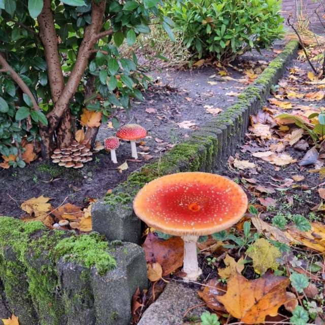 Greetの美しい写真による天気予報