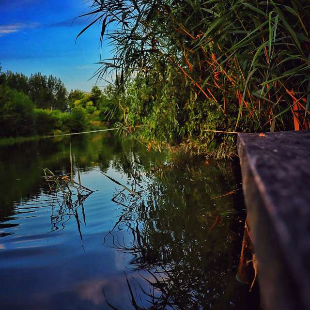 Weather Photos in Marketplace. Weather forecasts with beautiful photos by Nenad