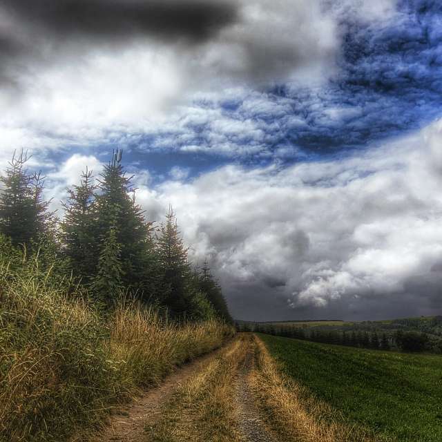 Prévisions météo avec de superbes photos de Gweiland