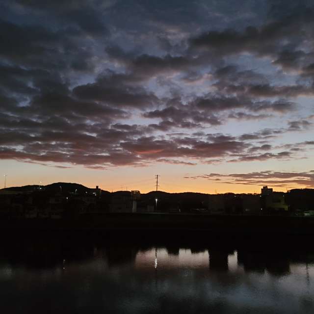 Sheep. Weather forecasts with beautiful photos by あさのジジ Photos in Okayama