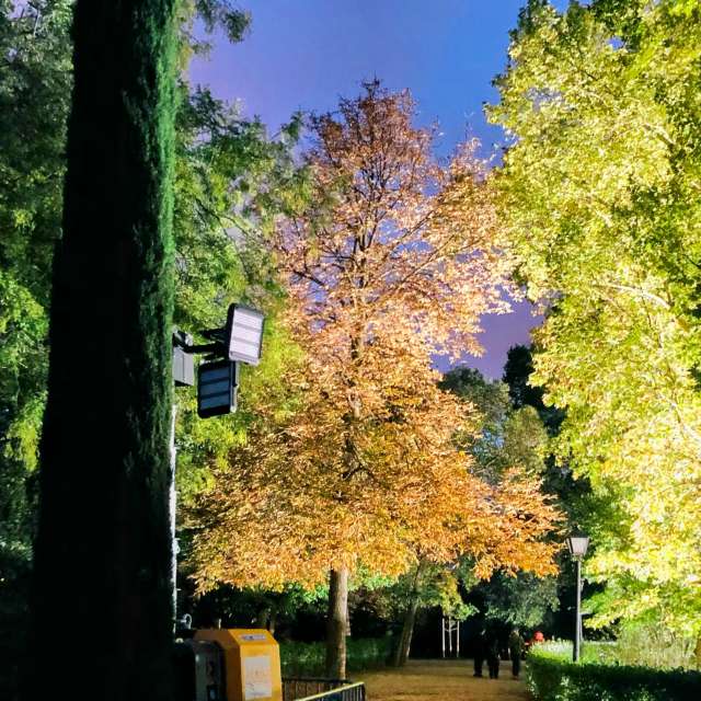 Parked. Weather forecasts with beautiful photos by Lulu5523 Photos in Madrid