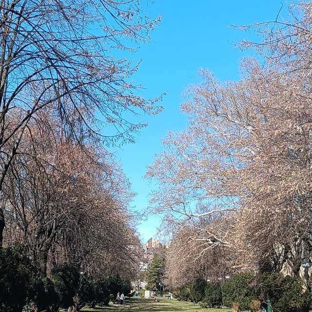 Fotos del Oveja. Pronósticos del tiempo con hermosas fotos de YanBog en București