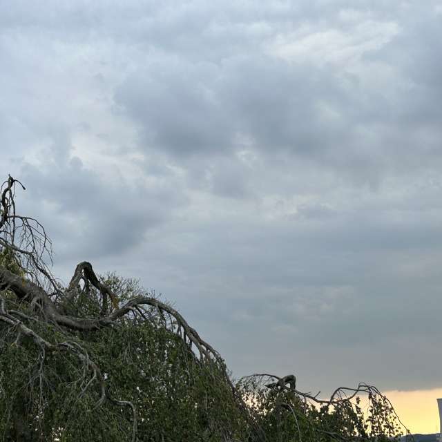 Weather forecasts with beautiful photos by grasielacf