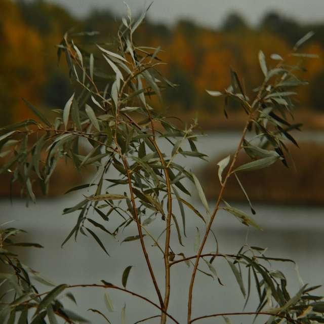 Pronósticos del tiempo con hermosas fotos de RuslanLeuliukh