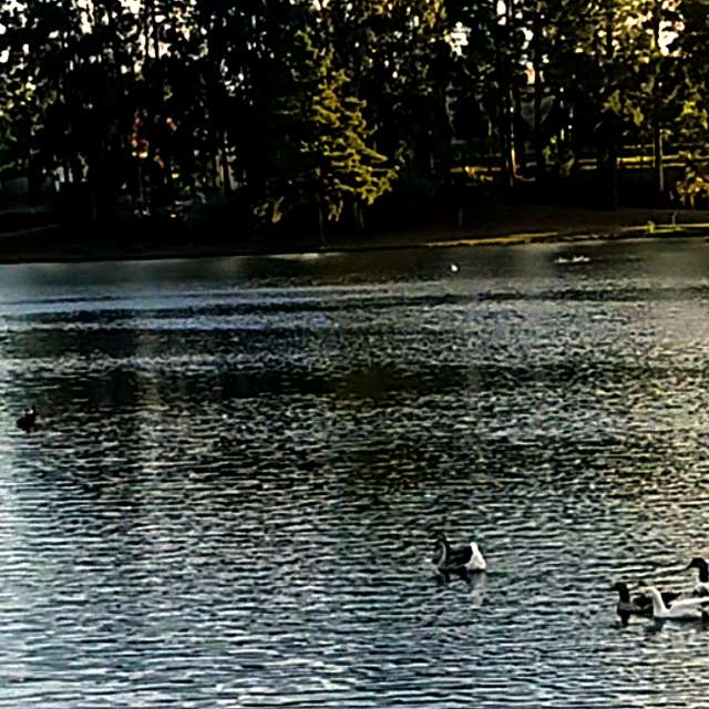 Weather forecasts with beautiful photos by Marra2021