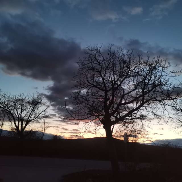 天气预报，带NikolayPaunchev精美的照片