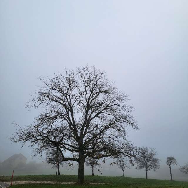 Weather forecasts with beautiful photos by aida-khaldi