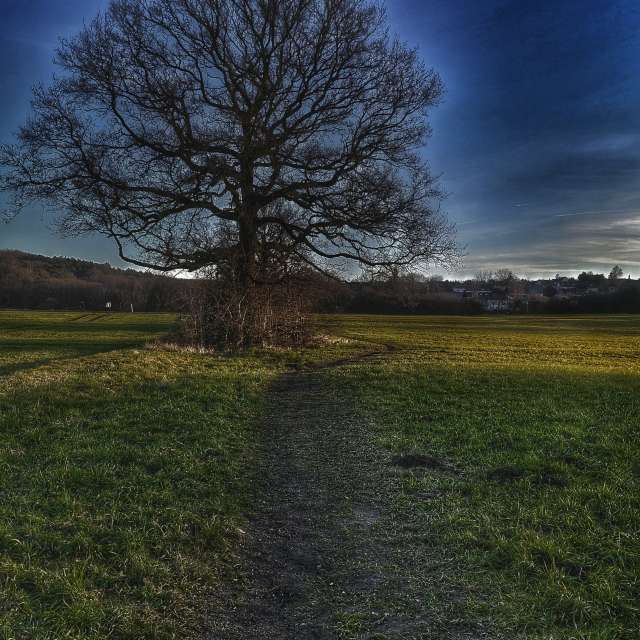 Weather forecasts with beautiful photos by Gweiland