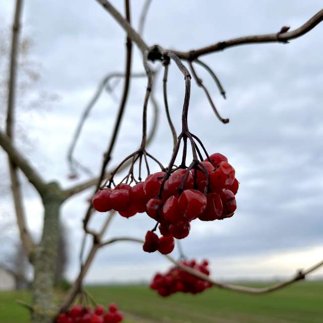 Photos Champ. Prévisions météo avec de superbes photos de Stassy de Teshkovo
