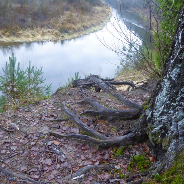 AlmaGenute53の美しい写真による天気予報