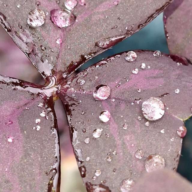 Rain. Weather forecasts with beautiful photos by Wen-ya Huang Photos in Kaohsiung City