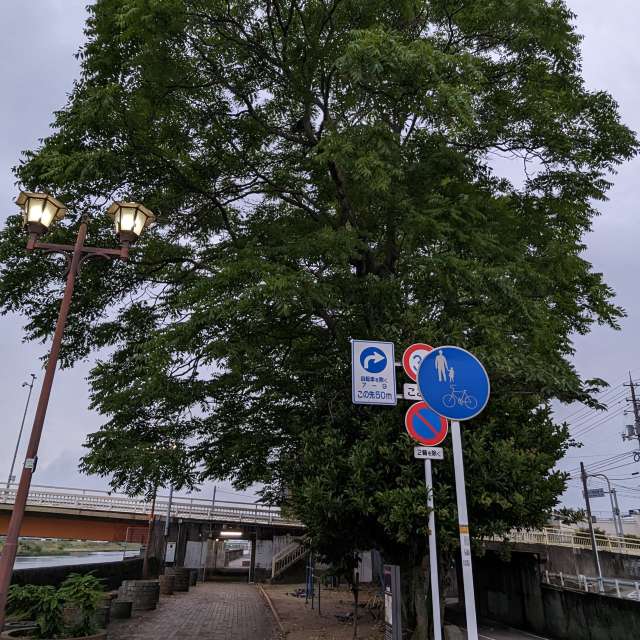 Fotos Autoestrada. Previsões do tempo com lindas fotos de あさのジジ em Okayama