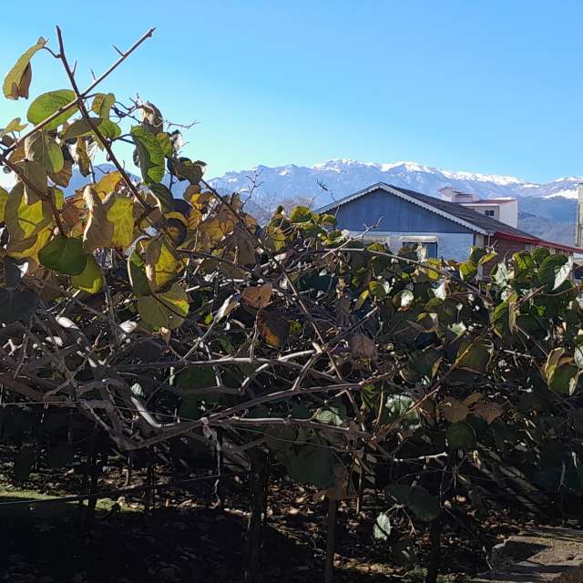 天气预报，带Soheilpmi精美的照片